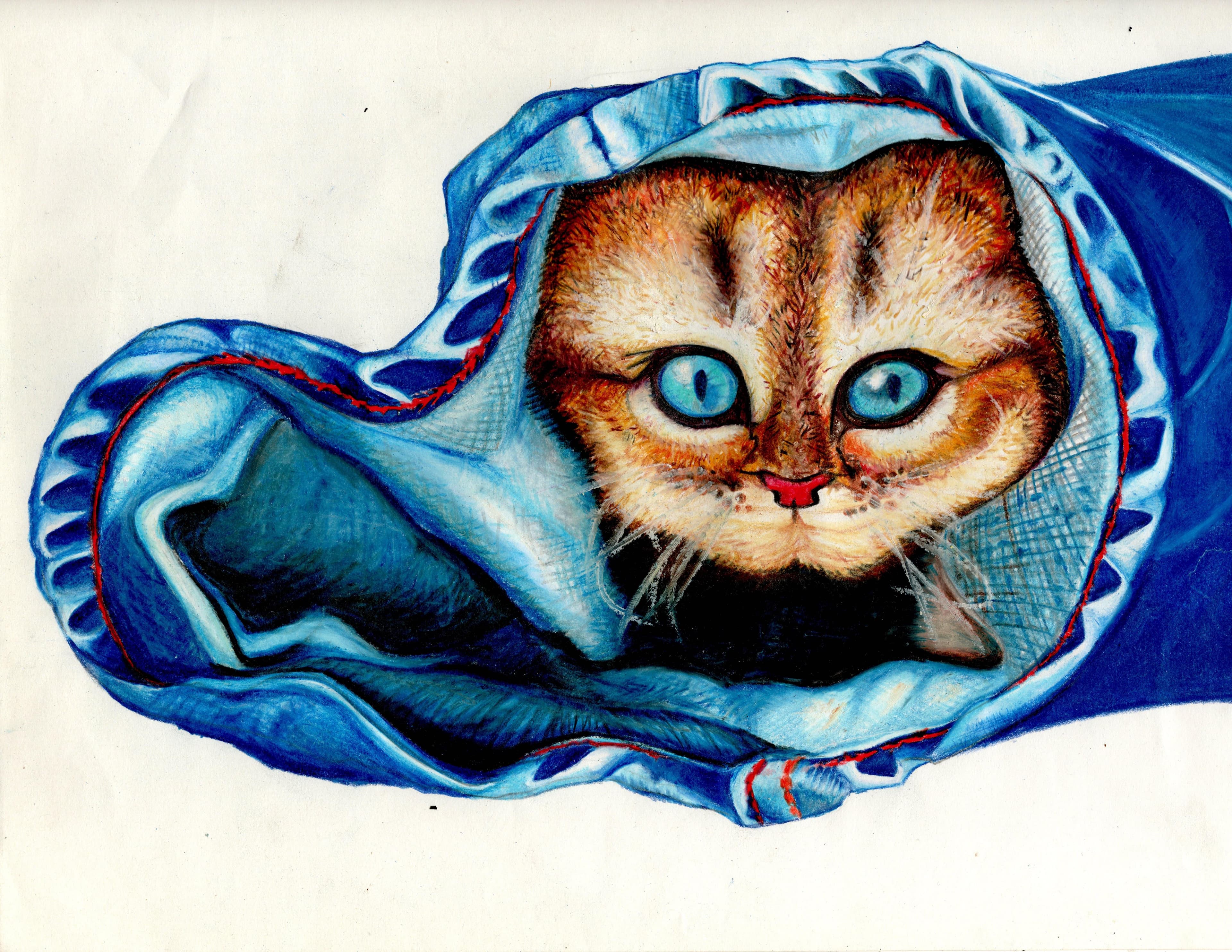 Cat nestled in blue jean