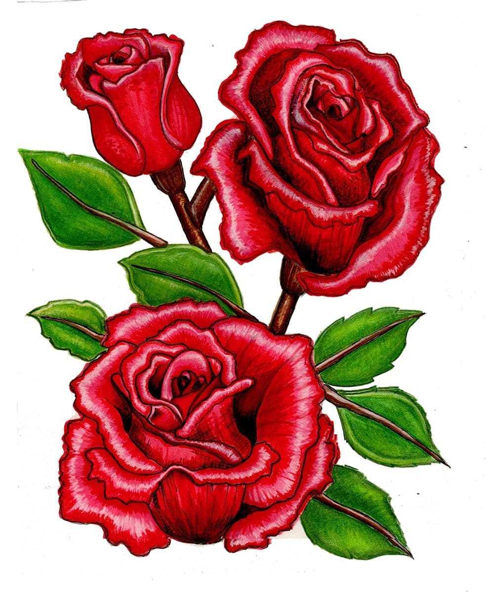 Flowers - red roses