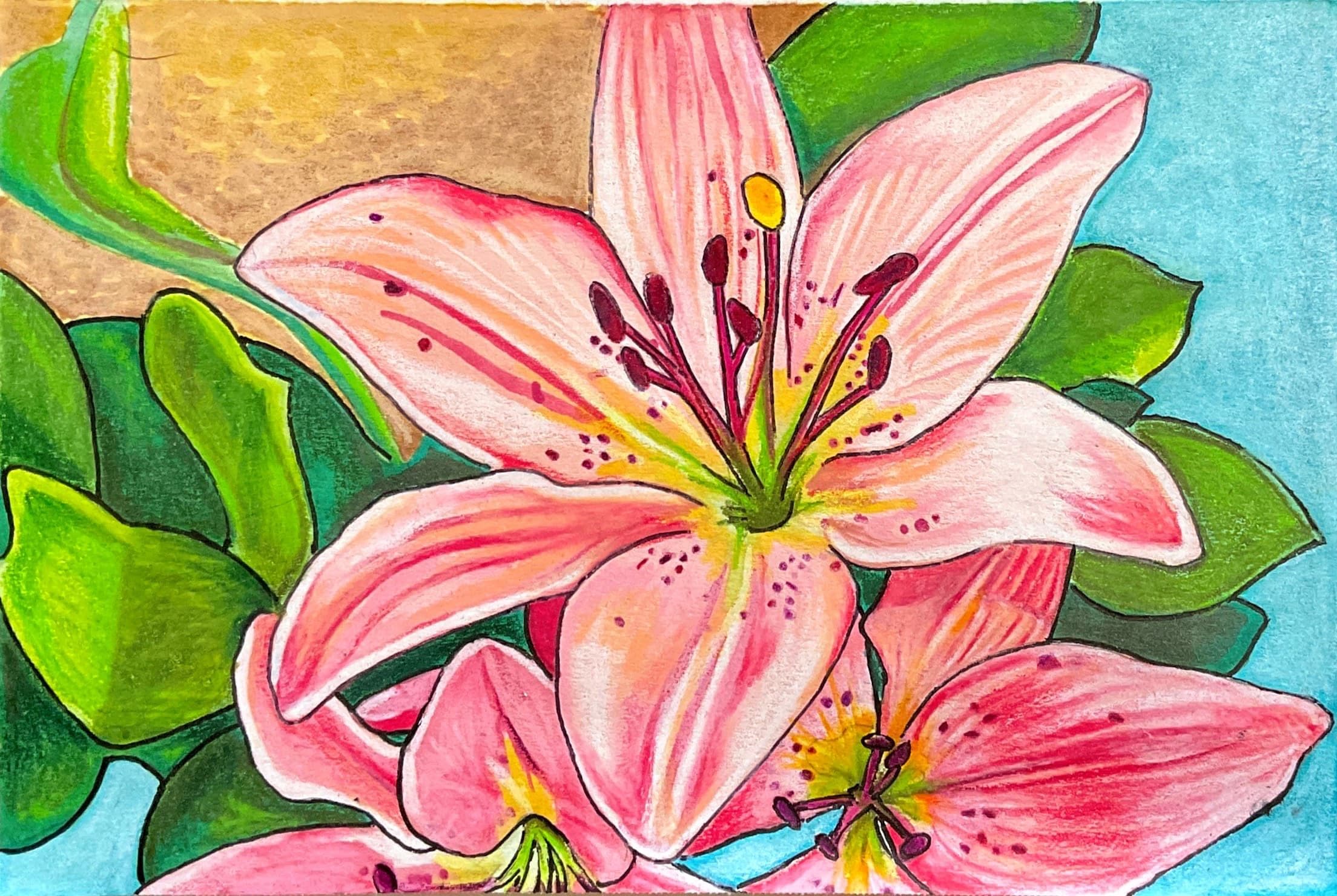 Flowers - pink lily